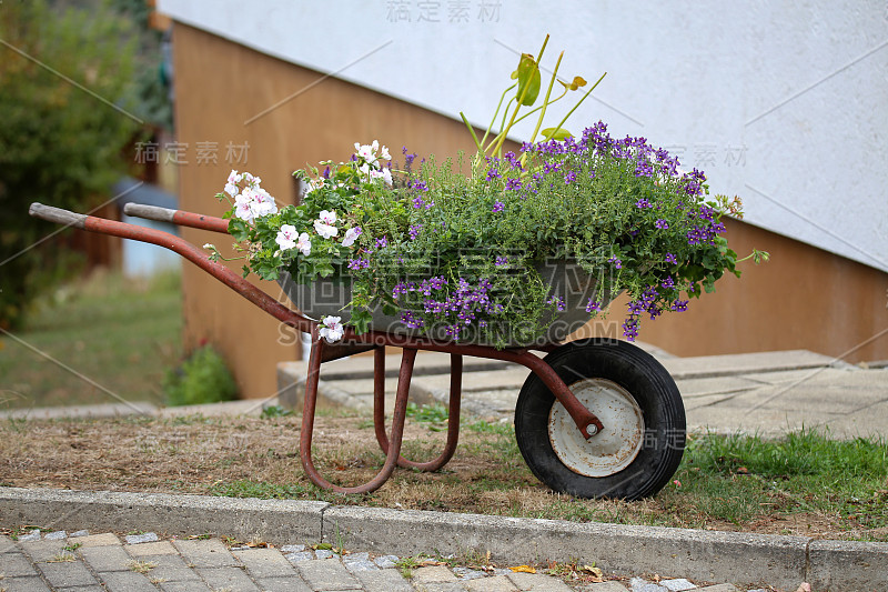 建筑车与美丽的鲜花在花园里