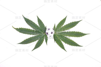 大麻叶和足球