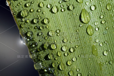 水滴