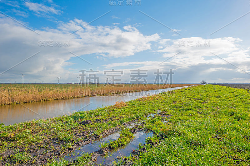 运河在冬天穿过一片阳光明媚的风景