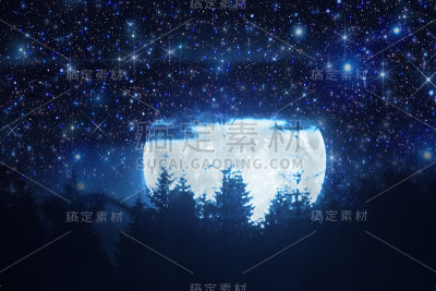 满月从地平线升起，树木的轮廓和星星。我的天文工作。