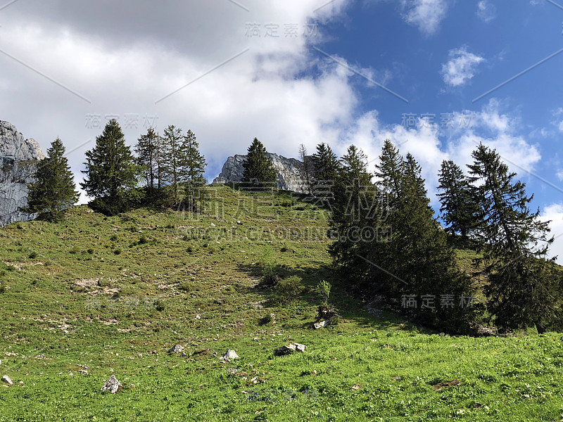 瑞士施维茨州内塔尔的瓦格塔勒尔湖(Waegitalersee)山谷中的高山牧场和草地