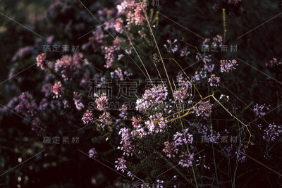 山上的一天