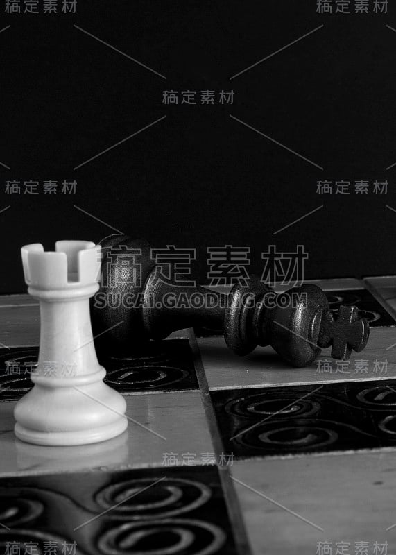 棋盘上的象棋