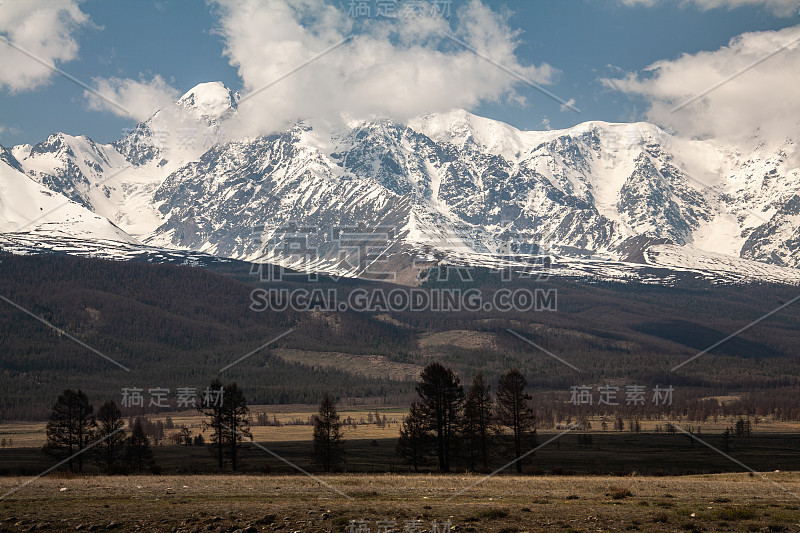 阿尔泰雪山草原森林