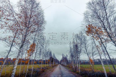 秋天的道路