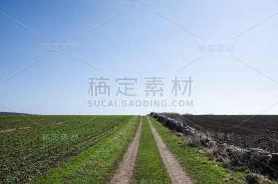绿地上的土路