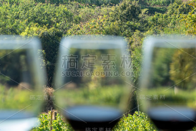 葡萄园边的一排酒杯