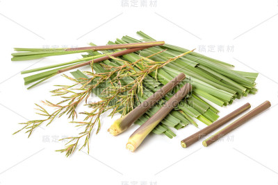 红色柠檬草或香茅的花和叶。工作室拍摄孤立的白色