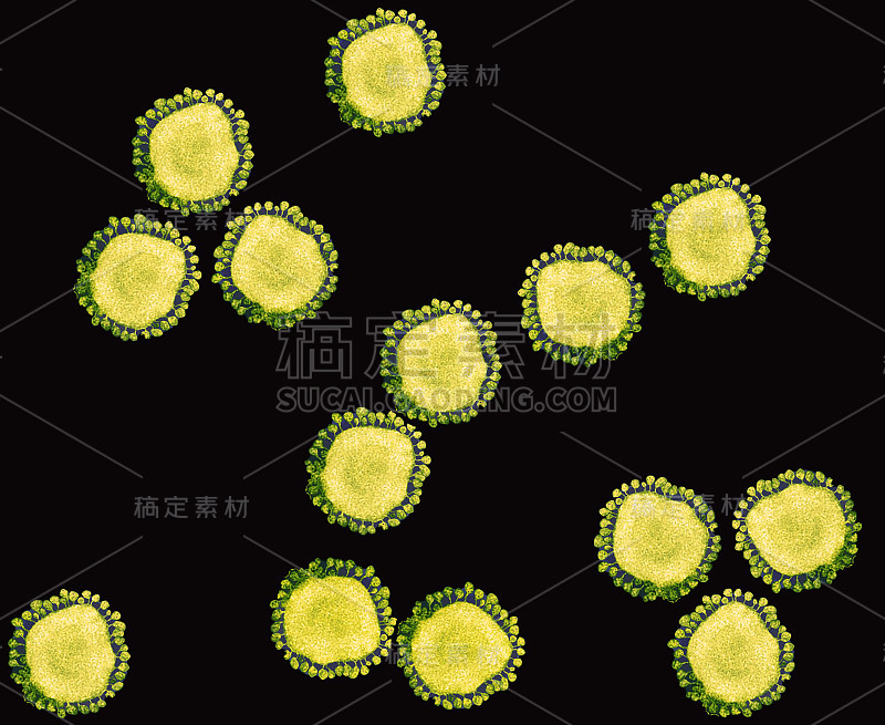 透射电镜下冠状病毒covid-19致命粒子的超微结构细节