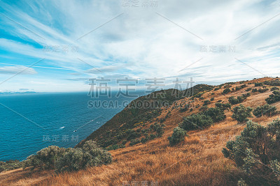 惠灵顿乡村的自然景观-马卡拉