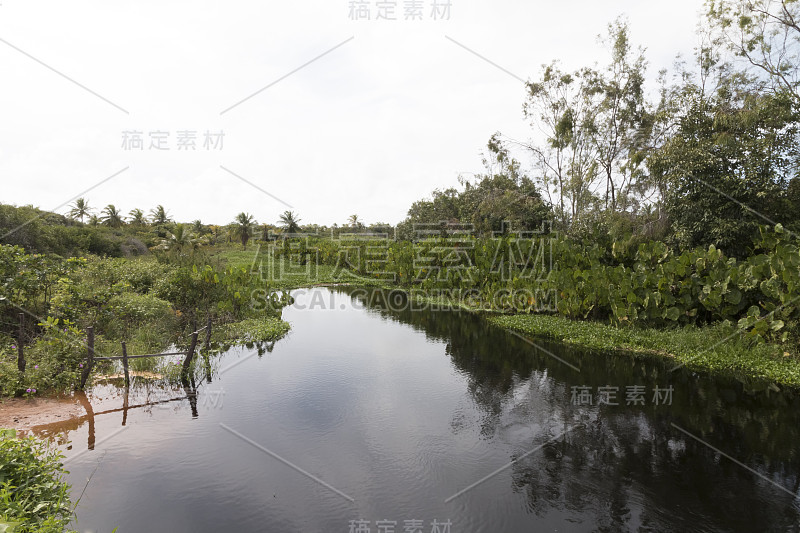 波蒂瓜尔北部海岸线，巴西东北部