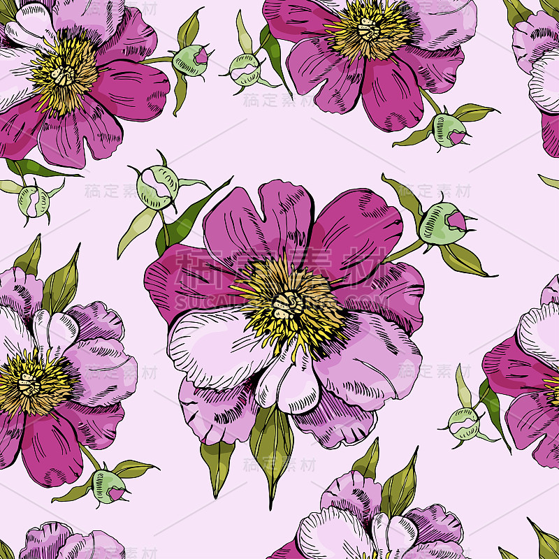 Seamless pattern  with  pink flowers of peony. Han