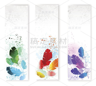 三个彩色羽毛的横幅