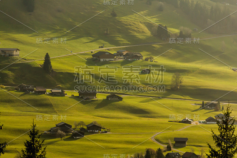 连绵起伏的瑞士阿尔卑斯草原，绿树成荫