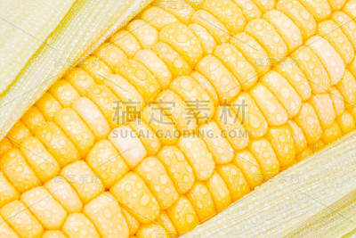 玉米