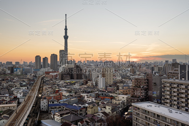 东京天际线与天空树