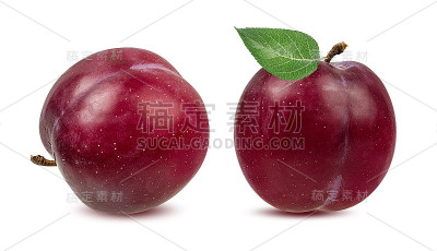 白色的李子