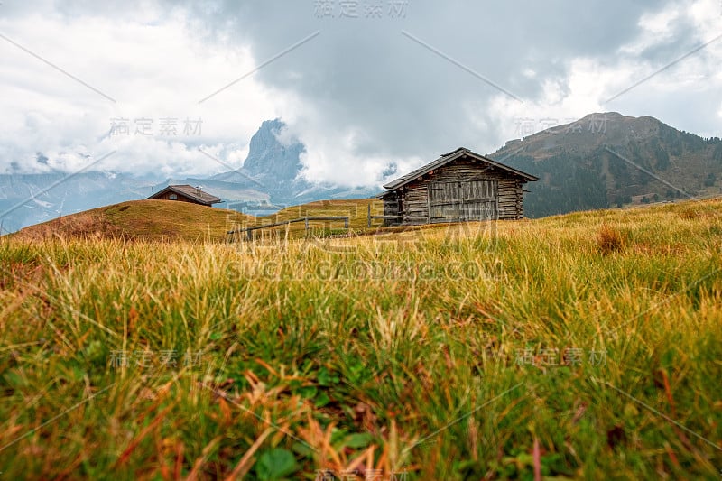 在Gardena山谷和Seceda峰的山地草地和房屋，背景Alpe di Siusi或Seiser 