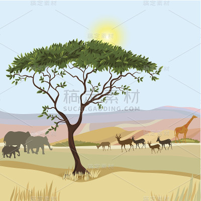 非洲山地理想主义景观