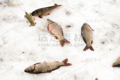 在冰洞里用网捕鱼