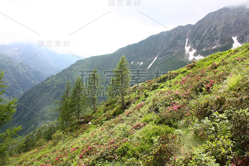 山在一个阳光明媚的夏日。