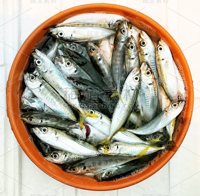 鱼桶