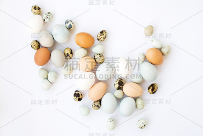 白色背景上的鸡和鹌鹑蛋。