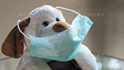 带医用口罩的玩具狗。