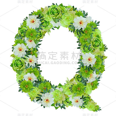 从白色和绿色的花中分离出来的字母Q