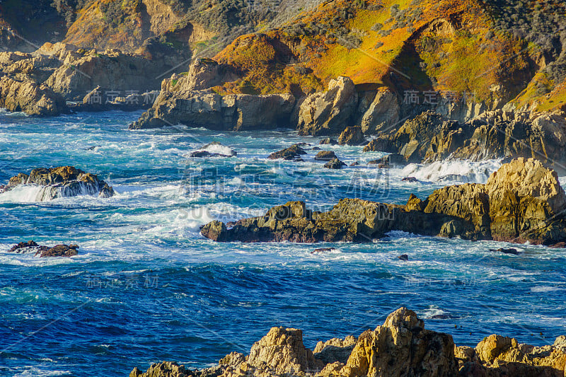 Diverse Beauty Graces the California Coast