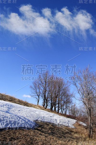 春天