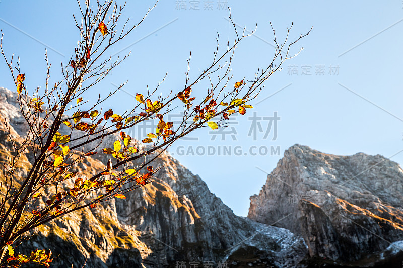 秋天的早晨在阿尔卑斯山