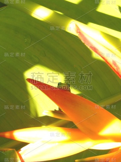 想念你