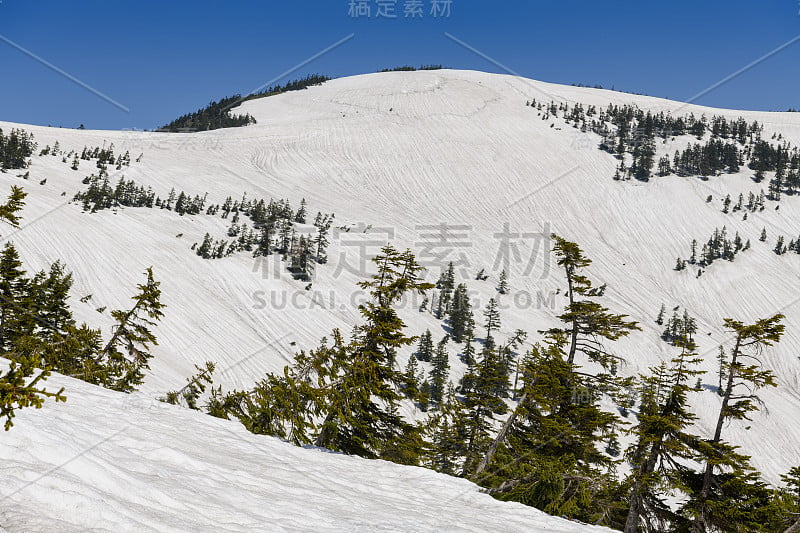 春天的爱祖玛阁山