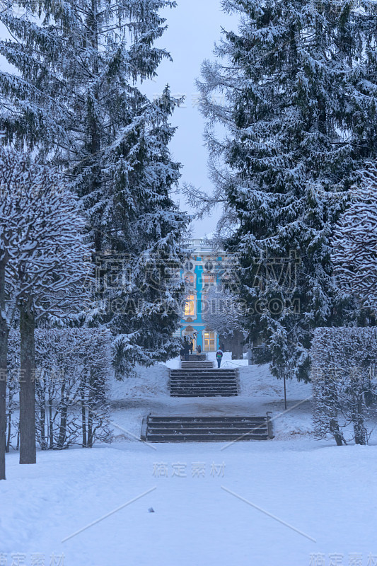 公园里覆盖着白雪的树木和地面