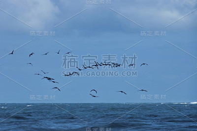 大西洋沿岸有好望角