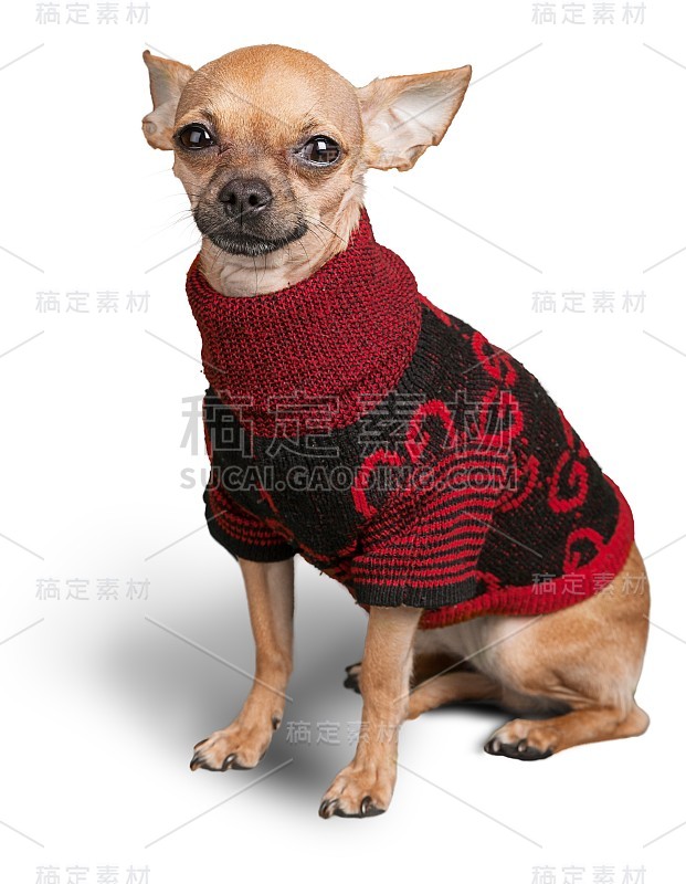 狗。