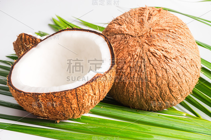 白色背景的椰子和叶子