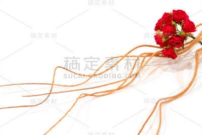 白色背景上的玫瑰花束、织物和树枝
