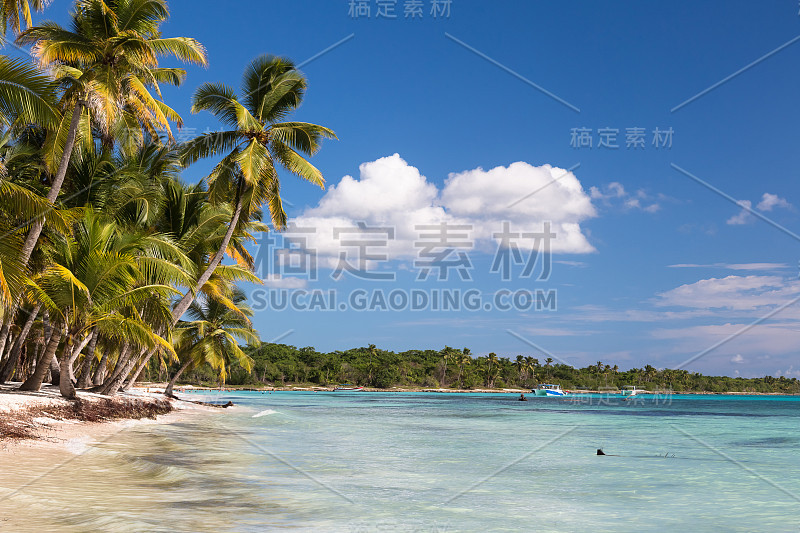 天堂般的热带岛屿海滩景观和完美的阳光天空