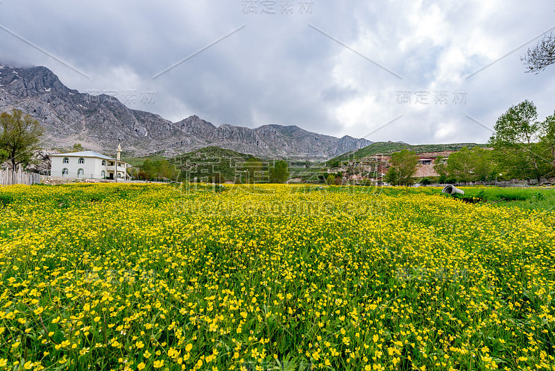 安塔利亚 - 土耳其。2017年6月06日。费斯利坎高地（雪库库鲁高原），安塔利亚 - 土耳其。