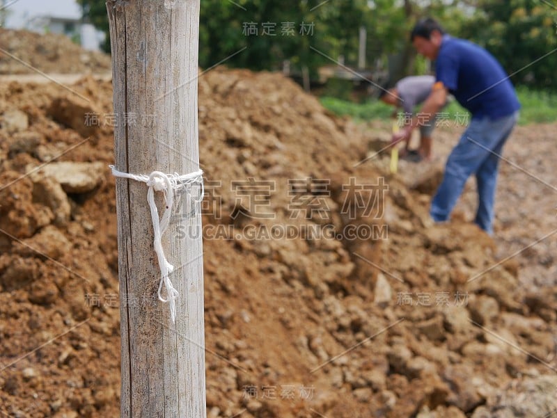 在调查中用作土地测量标志的竹竿/木杆