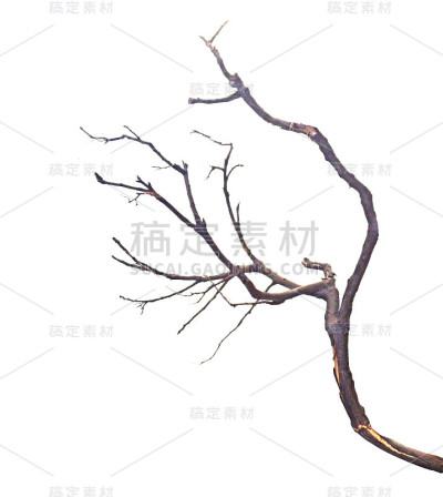 关闭干分支