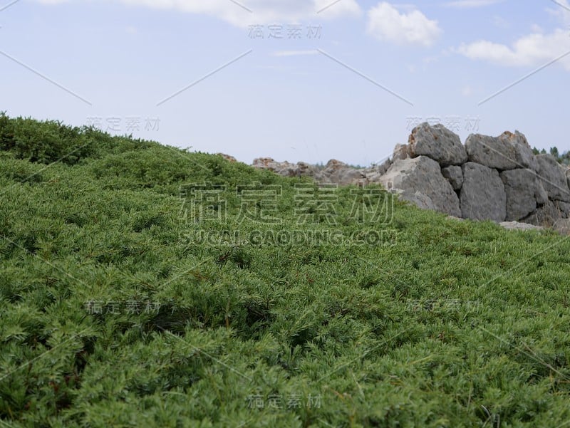 在一个阳光明媚的夏日，克里米亚的群山中有一道由巨大的石头砌成的古老围墙，映衬着蓝天和白云。