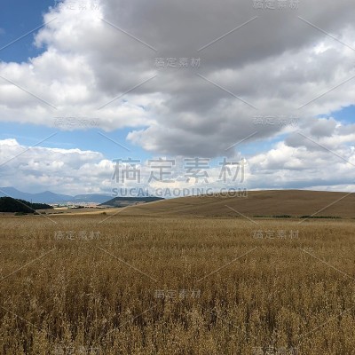 风景到孔波斯特拉，卡米诺圣地亚哥，西班牙