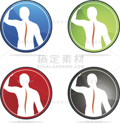 人的脊柱
