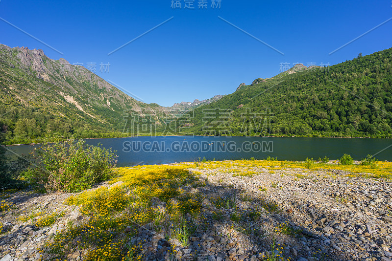 美丽的蓝色湖泊。湖泊步道的诞生。圣海伦斯山国家公园。