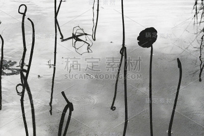 自然背景