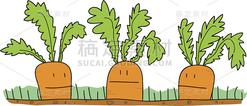 胡萝卜卡通